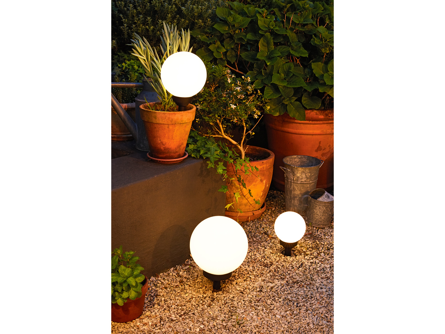 Lampa solarna LED Ø 20 cm Livarno, cena 24,99 PLN
- funkcja automatycznego włączania ...
